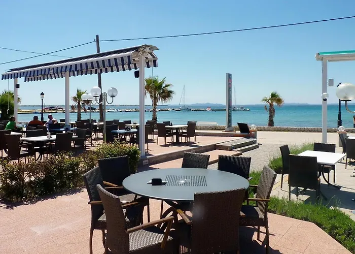 Paradiso, No 3 * Vir